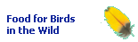 Food for Birds in the Wild
